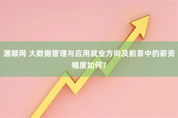 源顺网 大数据管理与应用就业方向及前景中的薪资幅度如何？