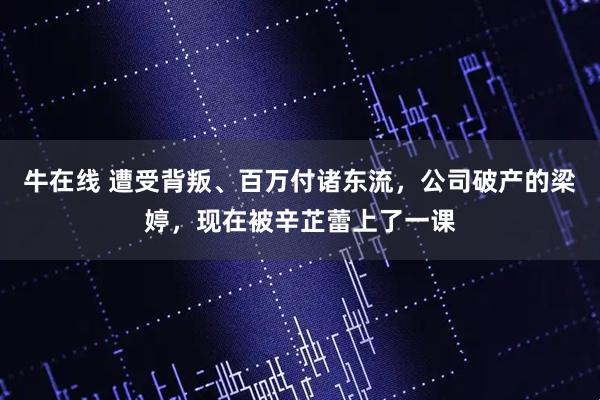 牛在线 遭受背叛、百万付诸东流,公司破产的梁婷,现在被辛芷蕾上了一课