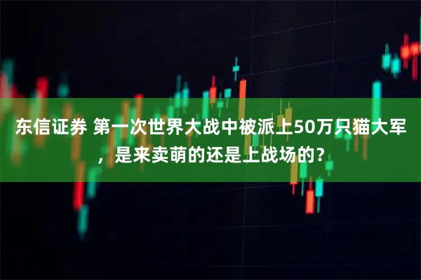 东信证券 第一次世界大战中被派上50万只猫大军，是来卖萌的还是上战场的？