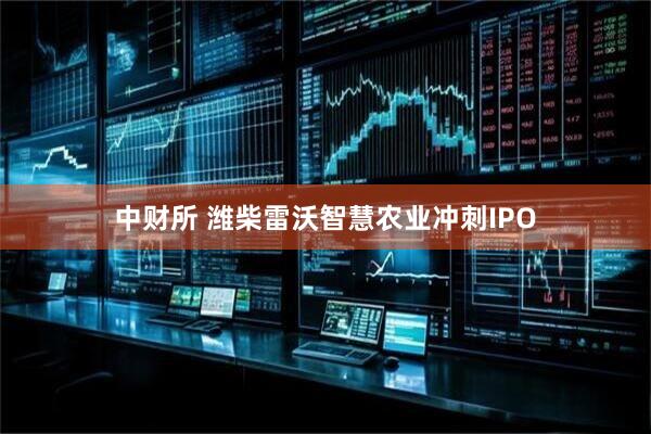 中财所 潍柴雷沃智慧农业冲刺IPO